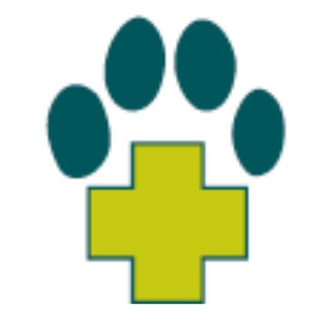 Logo Dr. Pitschi